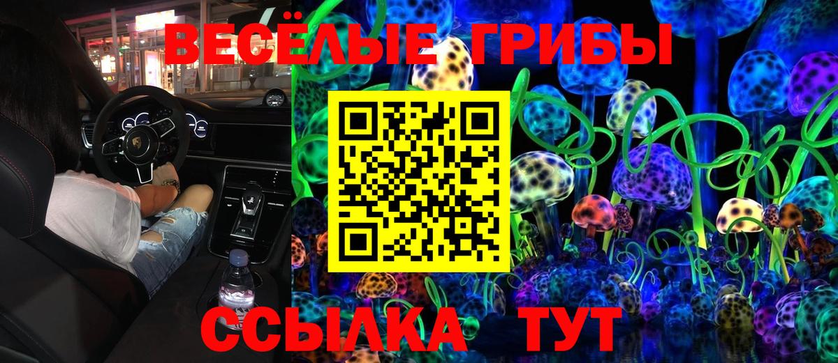 Галлюциногенные грибы Magic Shrooms  Псилоцибиновые грибы Psilocybine cubensis  Вход с VPN  Протвино 